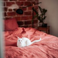 Terracotta Washed Linen Bed Set