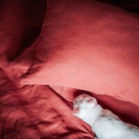 Terracotta Linen Pillow Case