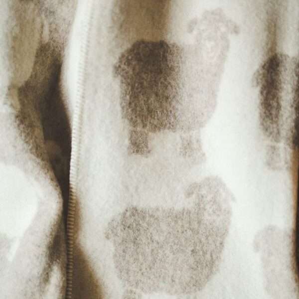 Wool blanket throw - beige sheep Wool blanket throw - beige sheep